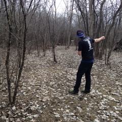 electrolights(EarWax)