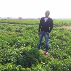 Ahmed Ragab