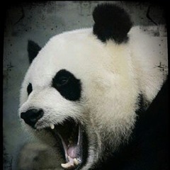 pandax2314
