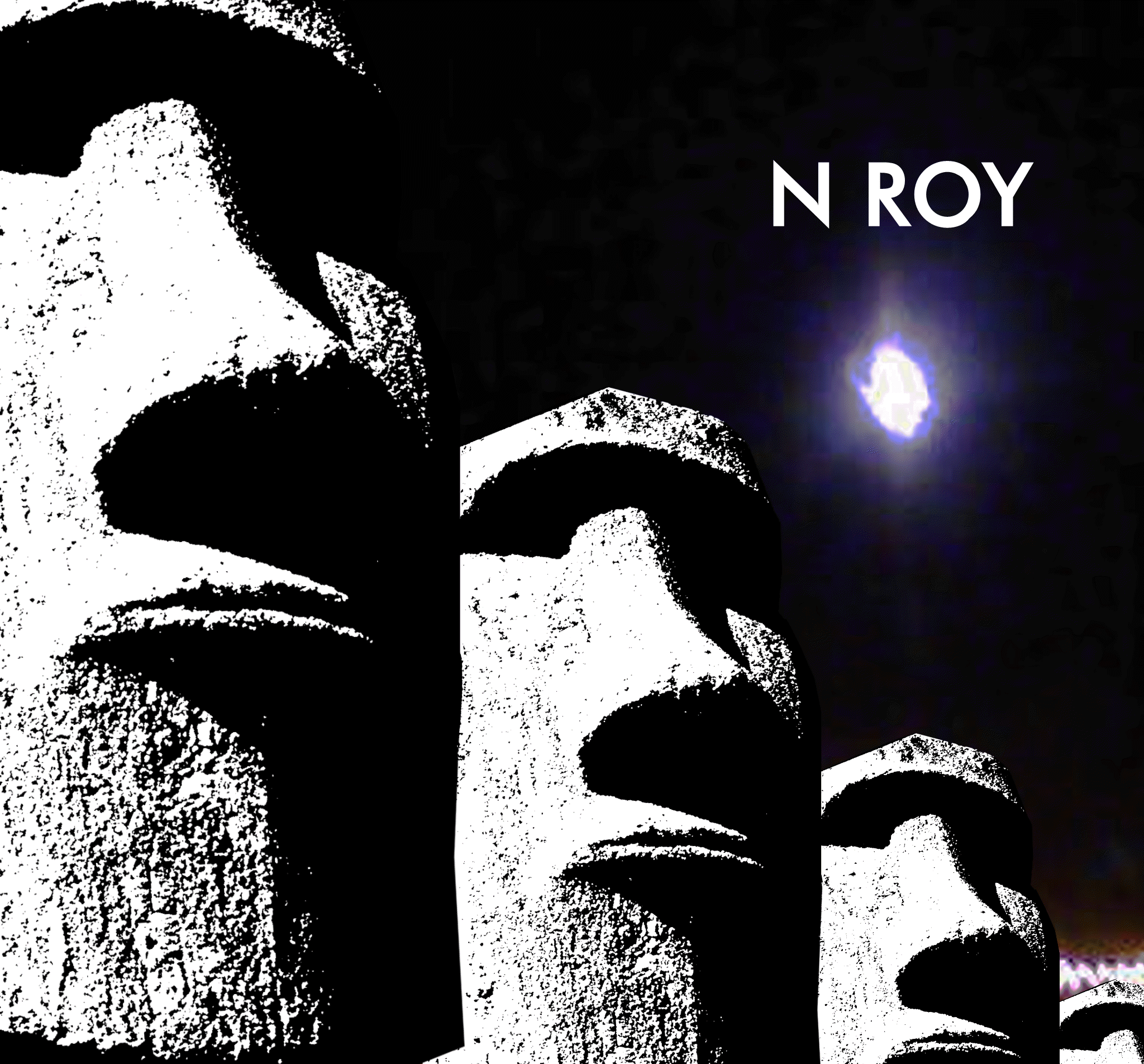 N ROY.in dub. cover art