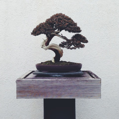 LiarsParadox