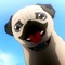 APO ザ·犬 。
