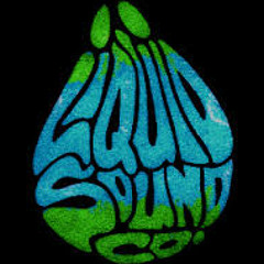 Liquid Sound Company