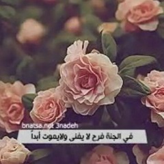 user330831082