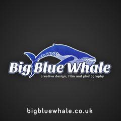 Big Blue Whale Sound