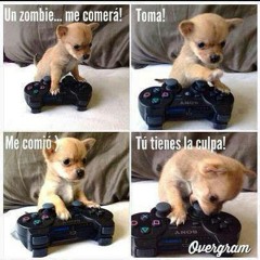 junior