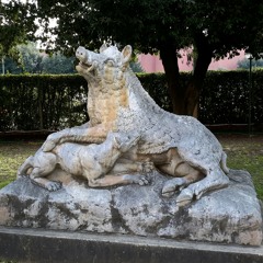 tokiogi