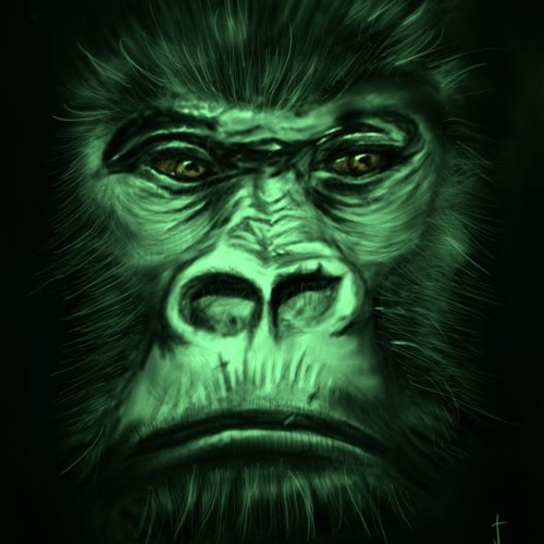Stream Green Gorilla music Listen to songs, albums, playlists for