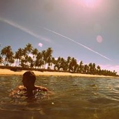 Luis Guilherme G. Leite