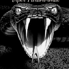 Viper-Paranormal