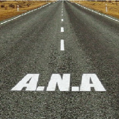 A.N.A Grupo