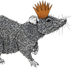 KingRat