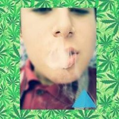 Alan Mota