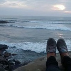 Rebecca Braden Moseley