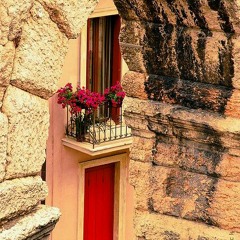 ِArwa Hanoun