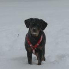 Sandy Butler Edwards