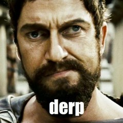 mr. Derp