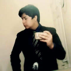Alejandro Gudiño Chagolla
