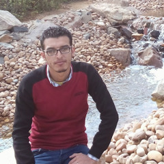 mahmoud amryah