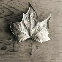 Rashid Cheriyaram Kottil