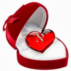 omar Tarek