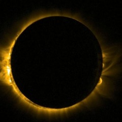 45 | 2026 10 16