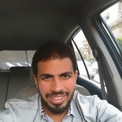 Saif Aldeen Abo ElRoos