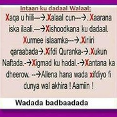 quraan