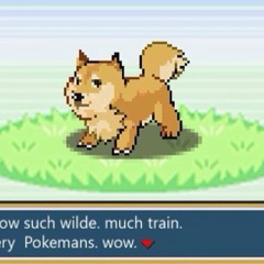 Andrew Michael Coble