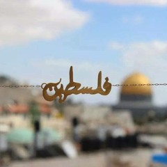 Maher Al-amleh