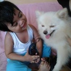 Temestocles Villamor IV