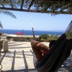 Mohammad S. Al-Bodour