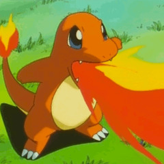 Charmander26