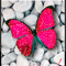 Wings01 02