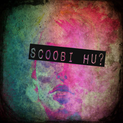 Scoobi Hu?