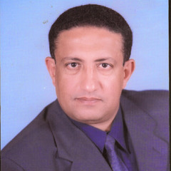 user198375336