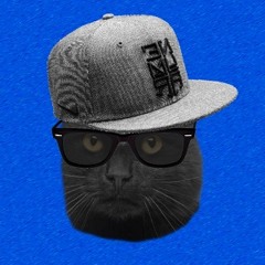 Snap-Cat