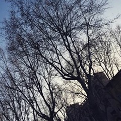 aliyahcrawfordaliyah