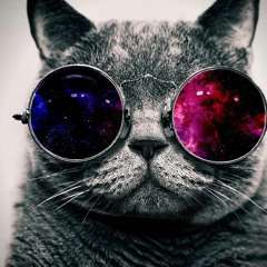 Gigi Cat