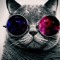 Gigi Cat