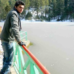 Muhammad Taha Shaikh