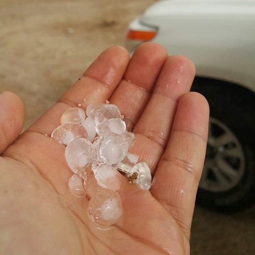 شيلة وداعية . رائعة