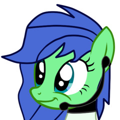 FlashPony Studio