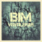 bimrepresent