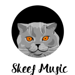 Skeef Music