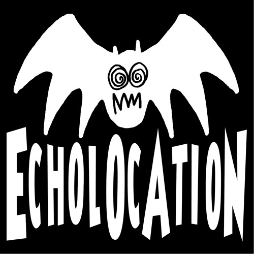 Echolocation’s avatar
