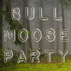 Bull Moose Party Band