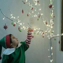 Luigi Laviña Landeo