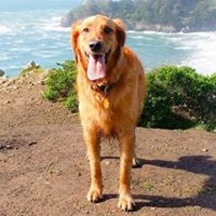 Charlotte Miller Russell