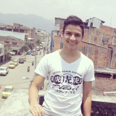 johan estiven vargas